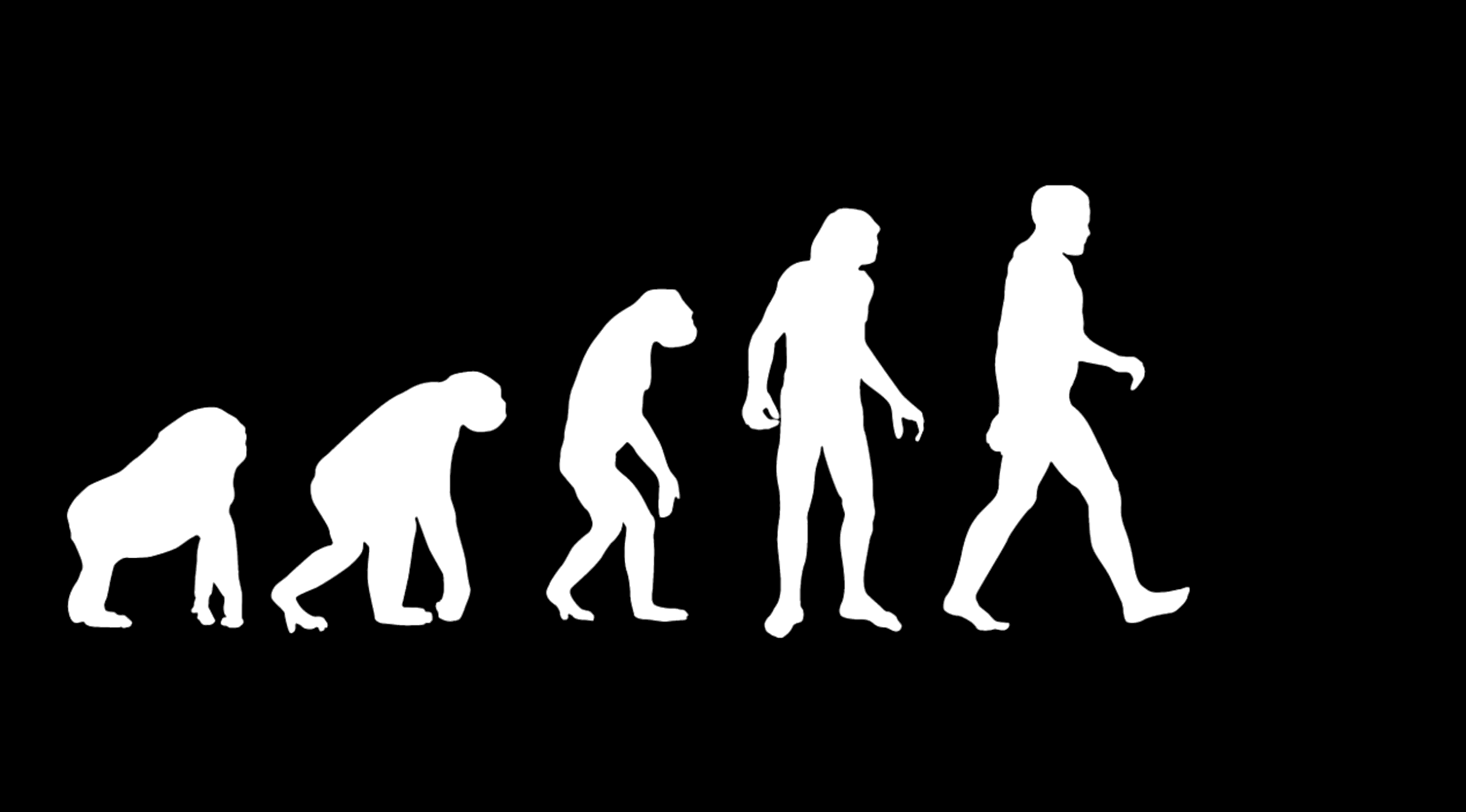 Evolution silhouettes: from ape to upright walking human