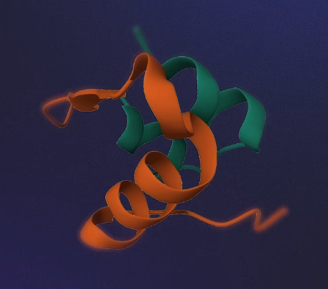 Serotonin receptor protein structure